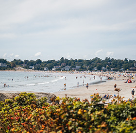Beach scene near a Newport RI hotel with people swimming and sunbathing, featuring foreground foliage and a clear sky.