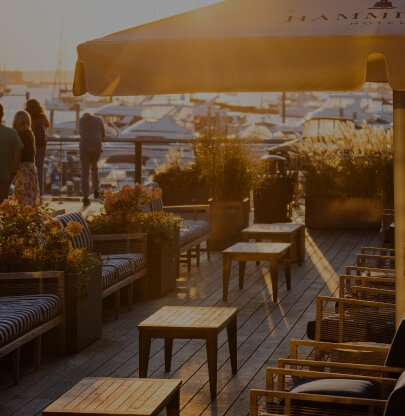 View of a rooftop patio at sunset with elegantly arranged seating and lush plant decor, overlooking a marina with several boats near one of the premier hotels in Newport, RI.