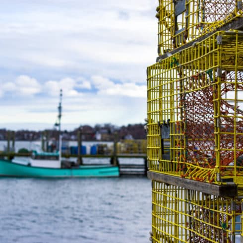 Stacked yellow lobster traps on a dock with a fishing boat in the background on a cloudy day, near Newport RI hotels.