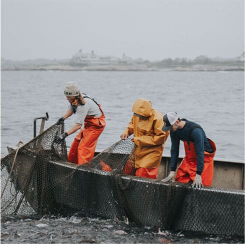 Three people in waterproof gear pulling in a large fishing net from the sea near a popular hotel in Newport, RI.