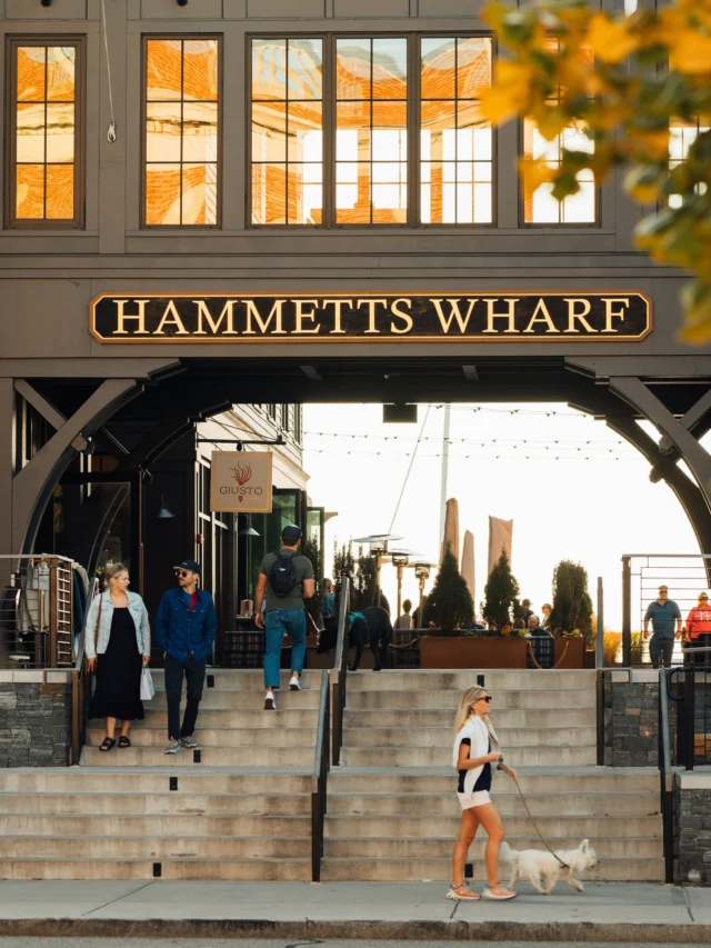 Hammetts Hotel — photo 24 of 27